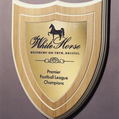 Engraved Plaque for a football team